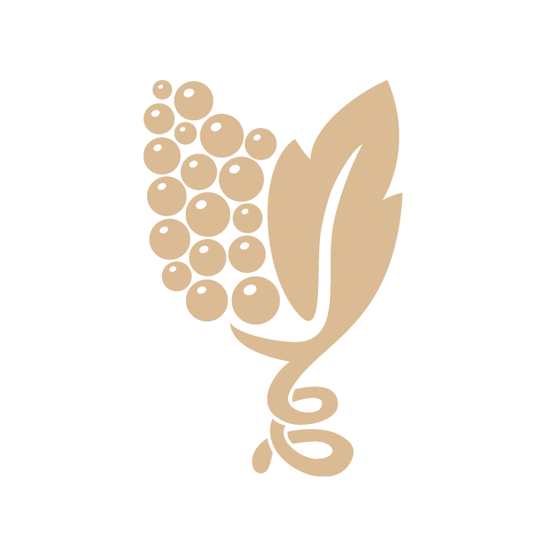 Vigneto Casavecchia